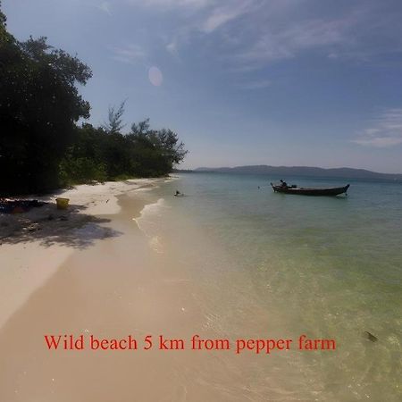Pepper Farm Phu Quoc Bungalow Bagian luar foto