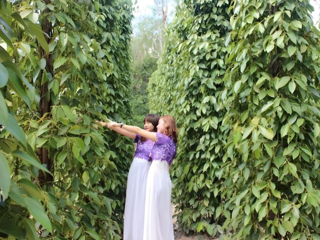 Pepper Farm Phu Quoc Bungalow Bagian luar foto