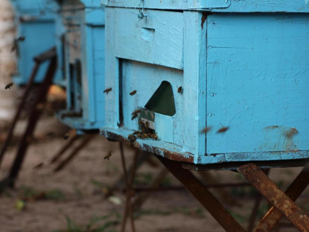 Pepper Farm Phu Quoc Bungalow Bagian luar foto