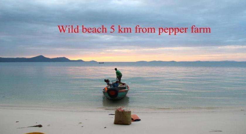 Pepper Farm Phu Quoc Bungalow Bagian luar foto