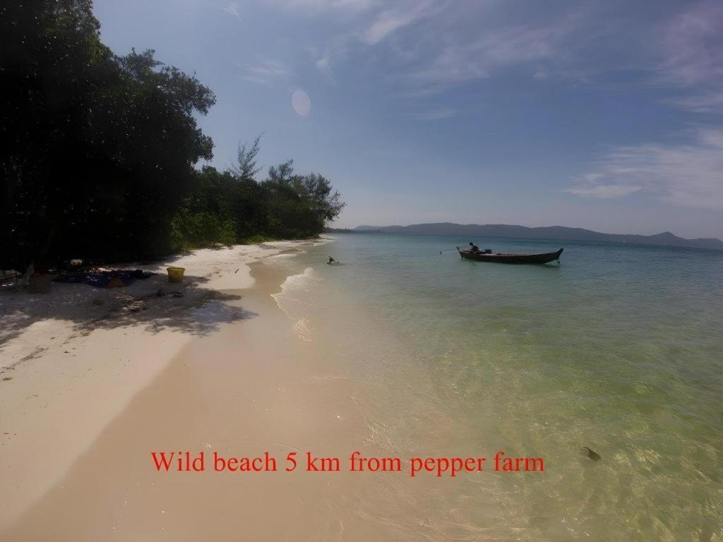 Pepper Farm Phu Quoc Bungalow Bagian luar foto