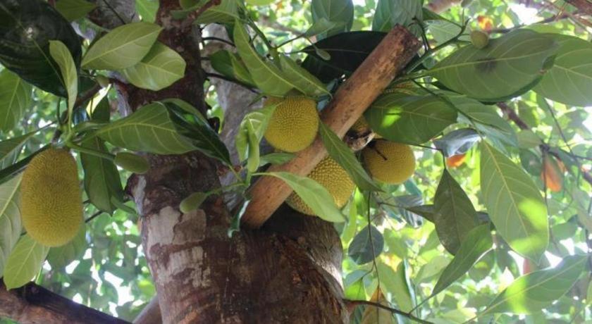 Pepper Farm Phu Quoc Bungalow Bagian luar foto